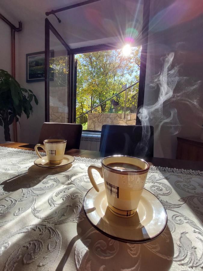 Holiday Home Milanovic Τσέτινιε Εξωτερικό φωτογραφία