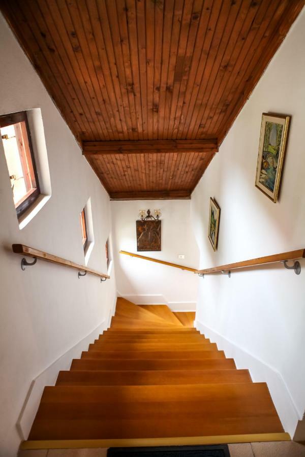 Holiday Home Milanovic Τσέτινιε Εξωτερικό φωτογραφία